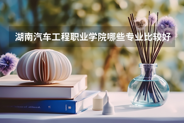 湖南汽车工程职业学院哪些专业比较好 湖南汽车工程职业学院王牌专业是哪些