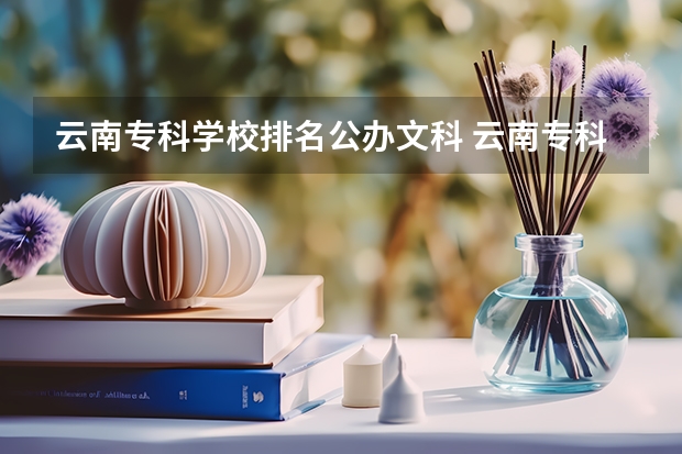 云南专科学校排名公办文科 云南专科的排名