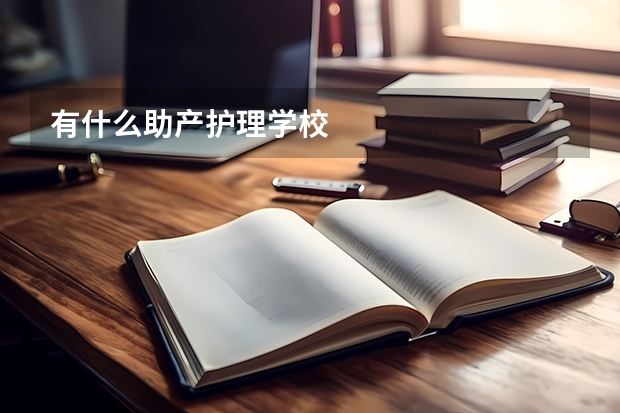 有什么助产护理学校