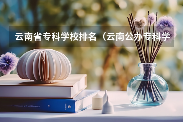 云南省专科学校排名（云南公办专科学校排名及分数线）