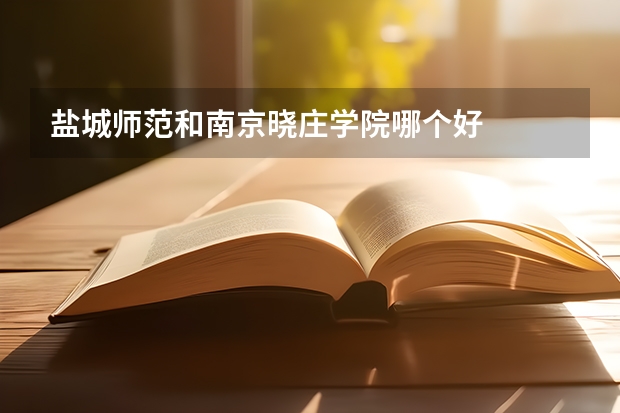 盐城师范和南京晓庄学院哪个好