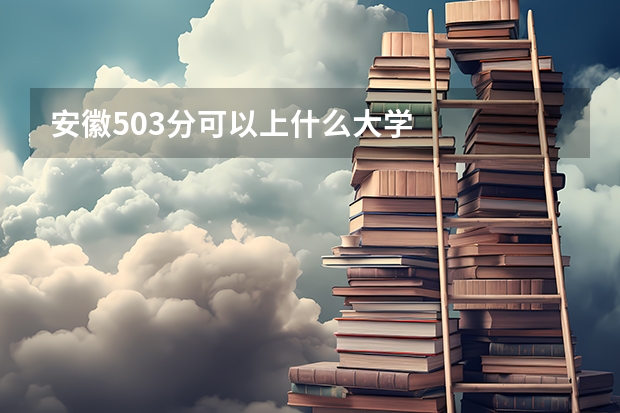 安徽503分可以上什么大学