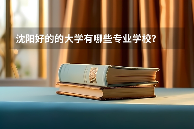 沈阳好的的大学有哪些专业学校？