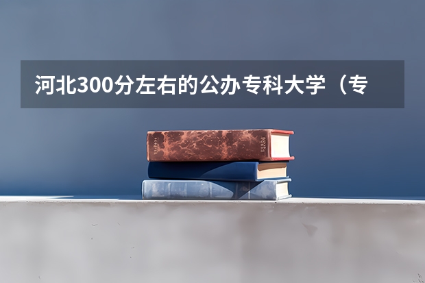 河北300分左右的公办专科大学（专科大学排名全国排名榜）