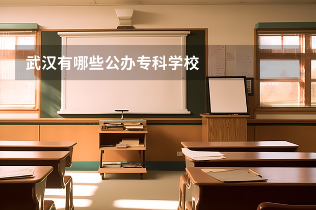 武汉有哪些公办专科学校