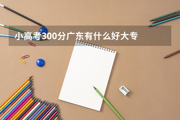 小高考300分广东有什么好大专