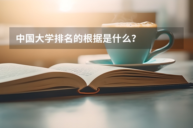 中国大学排名的根据是什么？