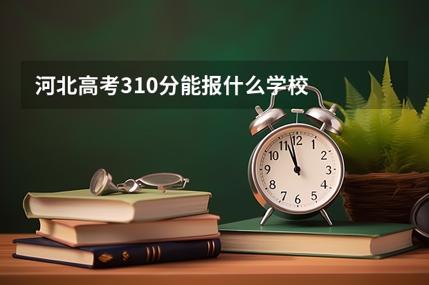 河北高考310分能报什么学校