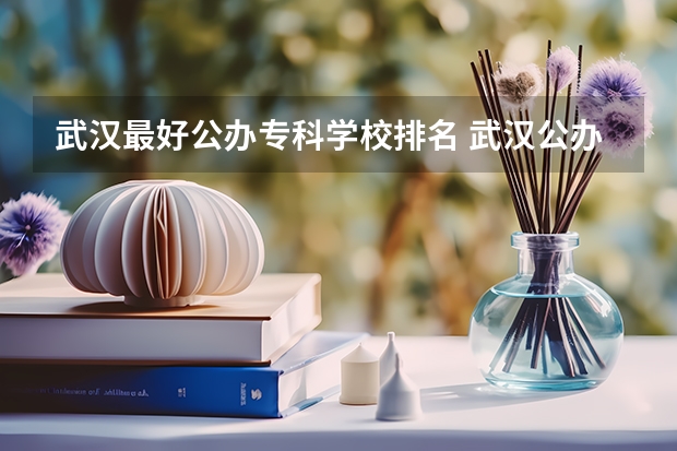 武汉最好公办专科学校排名 武汉公办专科学校排名