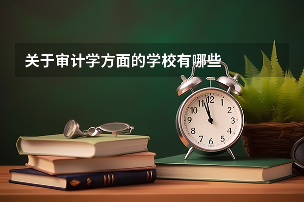 关于审计学方面的学校有哪些