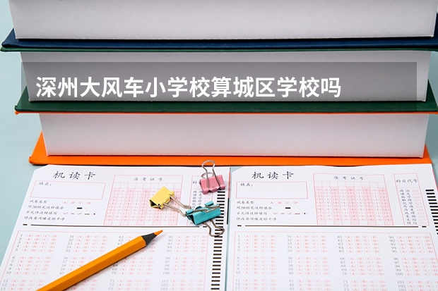 深州大风车小学校算城区学校吗