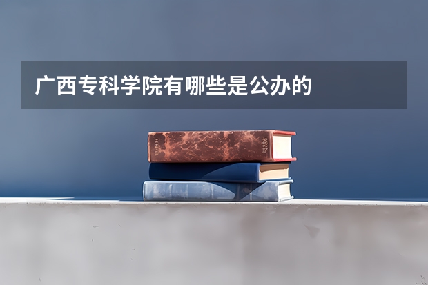 广西专科学院有哪些是公办的