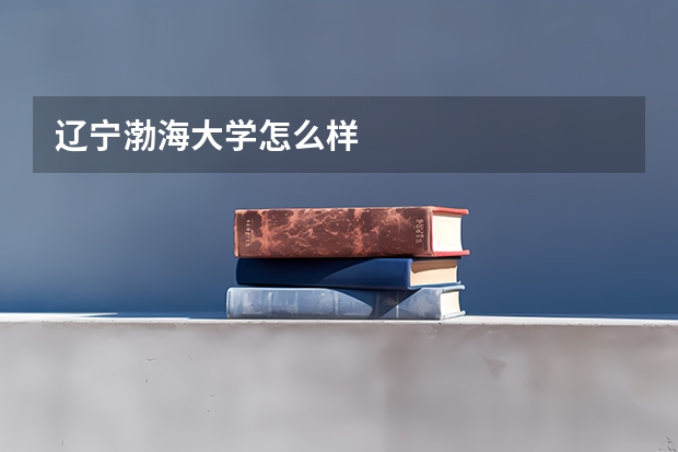 辽宁渤海大学怎么样