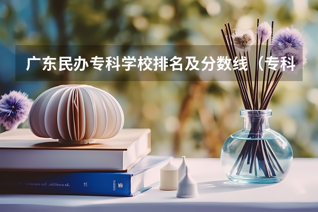 广东民办专科学校排名及分数线（专科院校排名一览表）