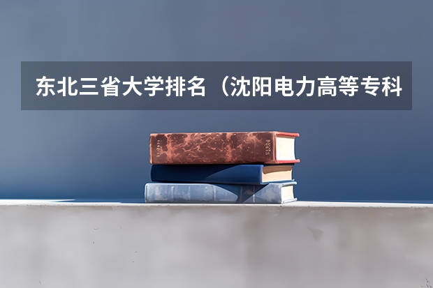 东北三省大学排名（沈阳电力高等专科学校办学规模）