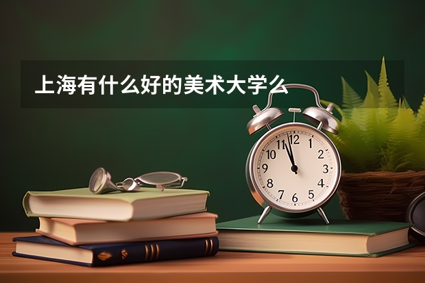 上海有什么好的美术大学么