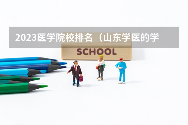 2023医学院校排名（山东学医的学校排名前十名）