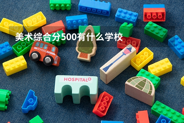 美术综合分500有什么学校