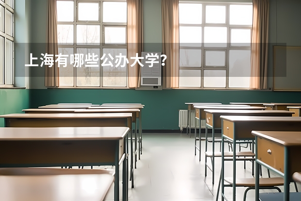 上海有哪些公办大学？