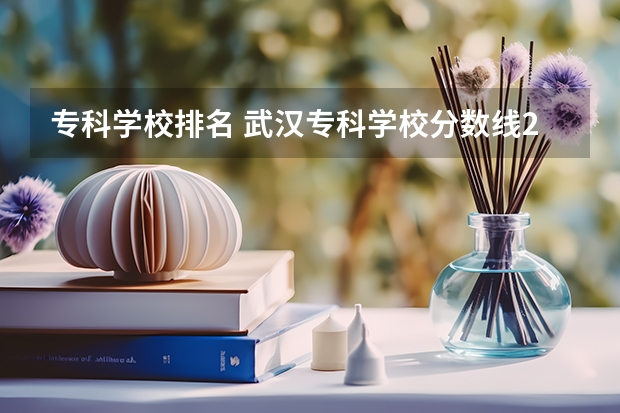 专科学校排名 武汉专科学校分数线2023