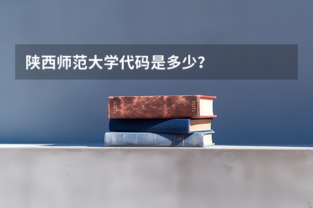 陕西师范大学代码是多少？