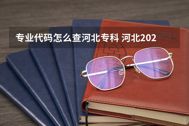 专业代码怎么查河北专科 河北2024年起这9个自考专业代码及名称调整