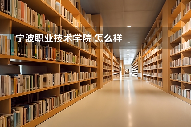 宁波职业技术学院 怎么样