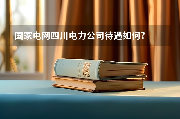 国家电网四川电力公司待遇如何?