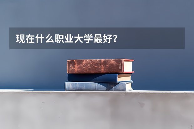 现在什么职业大学最好？